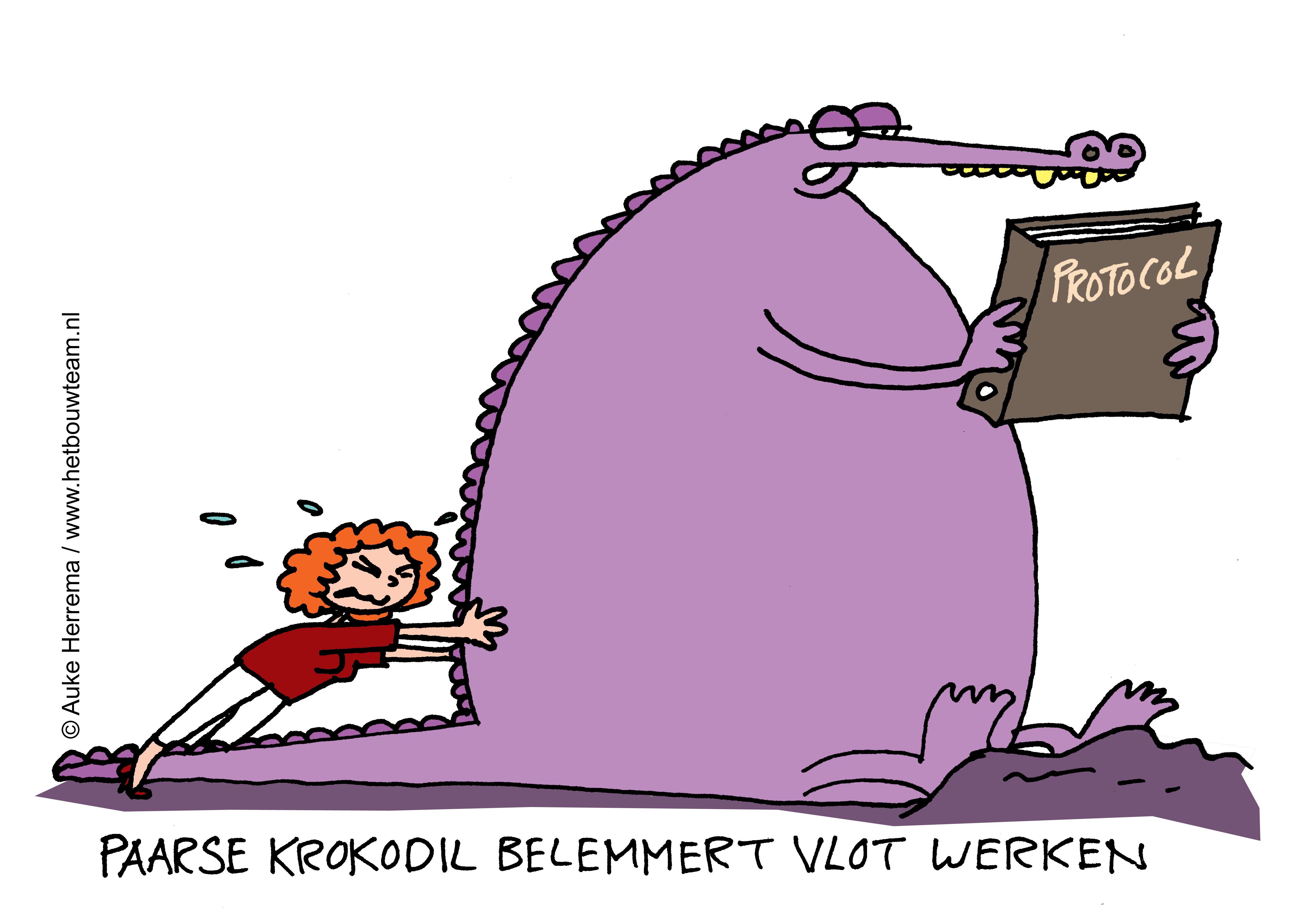 cartoon Paarse Krokodil transformatie sociaal domein gemeente Haarlem
